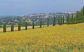 I Girasoli Lucignano